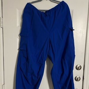 Wild fable cargo pants